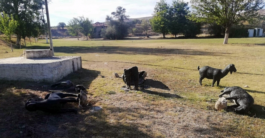 Denizli'de 8 asırlık yarışmanın simgesi heykellere zarar verildi